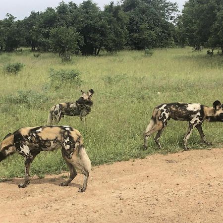Marula Lodge Mfuwe Eksteriør bilde