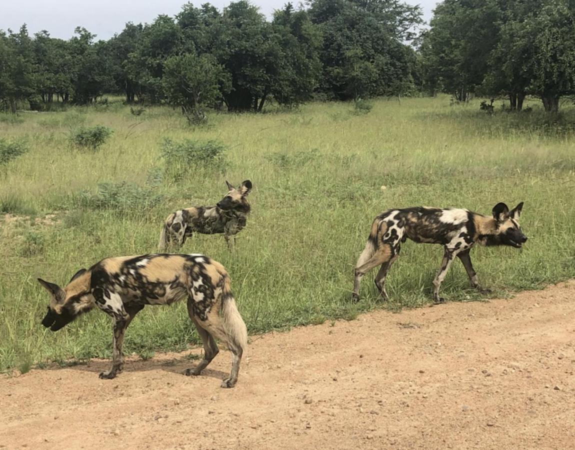 Marula Lodge Mfuwe Eksteriør bilde
